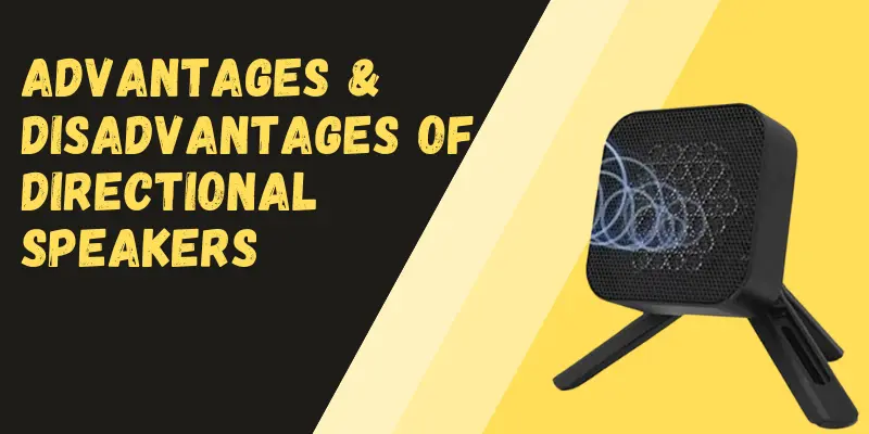Advantages Disadvantages of Directional Speakers 1 disadvantages of directional speaker