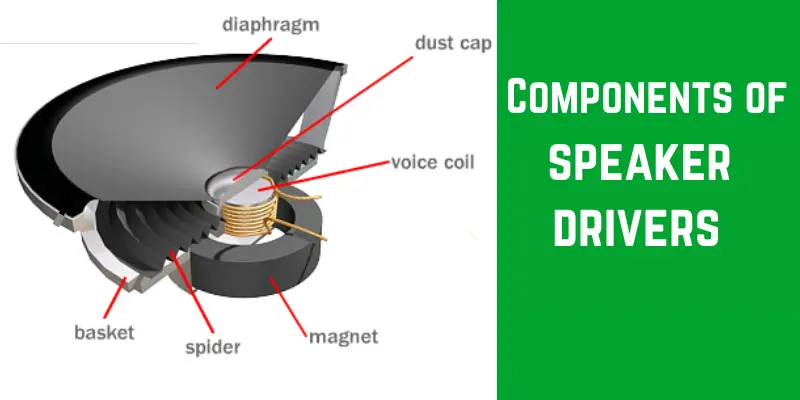 Components of a Speaker Driver components of speaker drivers
'