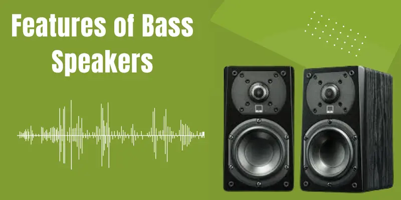 Features of Bass Speaker features of bass speakers